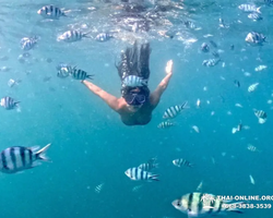 Sea Discovery island snorkeling tour from Pattaya Thailand - photo 23