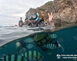 Marine Discovery one day sea trip from Pattaya Thailand - photo 74