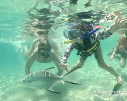 Sea Discovery island snorkeling tour from Pattaya Thailand - photo 110