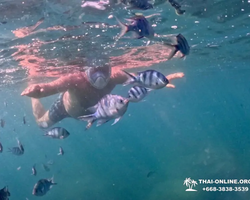 Sea Discovery island snorkeling tour from Pattaya Thailand - photo 21