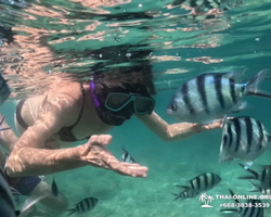 Sea Discovery island snorkeling tour from Pattaya Thailand - photo 42
