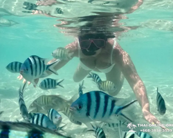 Sea Discovery island snorkeling tour from Pattaya Thailand - photo 106