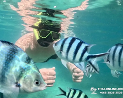 Sea Discovery island snorkeling tour from Pattaya Thailand - photo 25