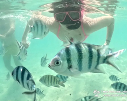 Marine Discovery one day sea trip from Pattaya Thailand - photo 81