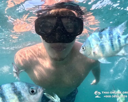Sea Discovery island snorkeling tour from Pattaya Thailand - photo 19