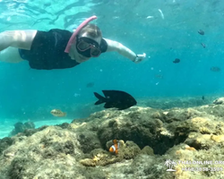 Sea Discovery island snorkeling tour from Pattaya Thailand - photo 100