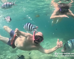 Sea Discovery island snorkeling tour from Pattaya Thailand - photo 41