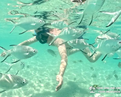 Sea Discovery island snorkeling tour from Pattaya Thailand - photo 111
