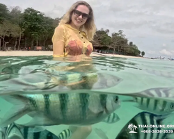 Sea Discovery island snorkeling tour from Pattaya Thailand - photo 135