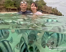 Sea Discovery island snorkeling tour from Pattaya Thailand - photo 138