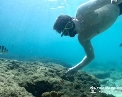 Sea Discovery island snorkeling tour from Pattaya Thailand - photo 27