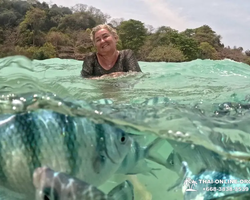 Sea Discovery island snorkeling tour from Pattaya Thailand - photo 119