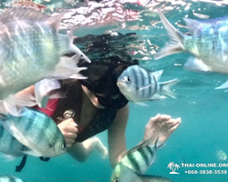 Sea Discovery island snorkeling tour from Pattaya Thailand - photo 26