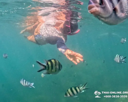 Sea Discovery island snorkeling tour from Pattaya Thailand - photo 112