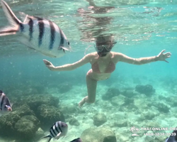 Marine Discovery one day sea trip from Pattaya Thailand - photo 47