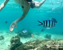 Sea Discovery island snorkeling tour from Pattaya Thailand - photo 130