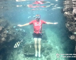 Sea Discovery island snorkeling tour from Pattaya Thailand - photo 117