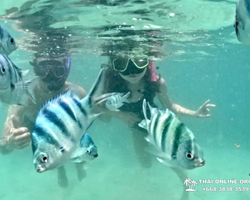 Sea Discovery island snorkeling tour from Pattaya Thailand - photo 125