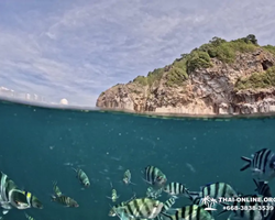 Sea Discovery island snorkeling tour from Pattaya Thailand - photo 4
