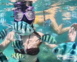 Sea Discovery island snorkeling tour from Pattaya Thailand - photo 13