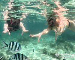 Marine Discovery one day sea trip from Pattaya Thailand - photo 88