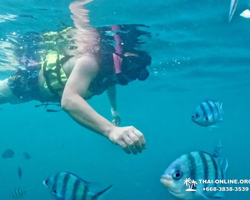 Sea Discovery island snorkeling tour from Pattaya Thailand - photo 1