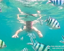 Marine Discovery one day sea trip from Pattaya Thailand - photo 77