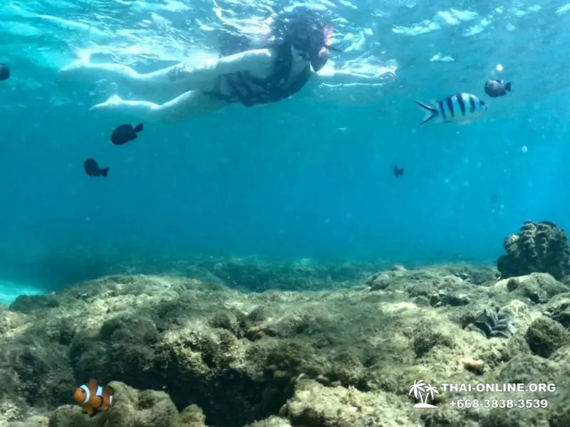 Marine Discovery one day sea trip from Pattaya Thailand - photo 4