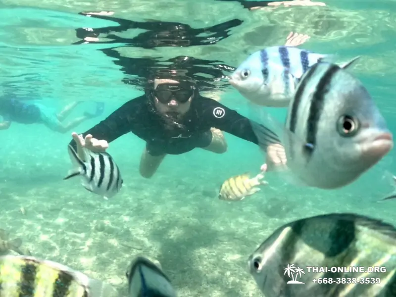 Marine Discovery one day sea trip from Pattaya Thailand - photo 16