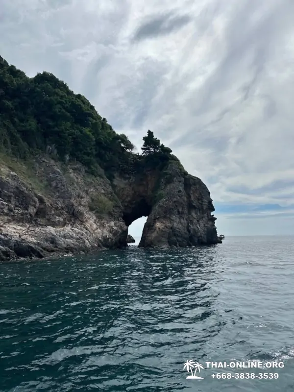 Marine Discovery one day sea trip from Pattaya Thailand - photo 29