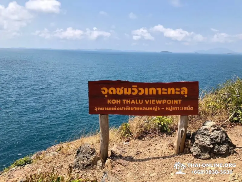 Marine Discovery one day sea trip from Pattaya Thailand - photo 6