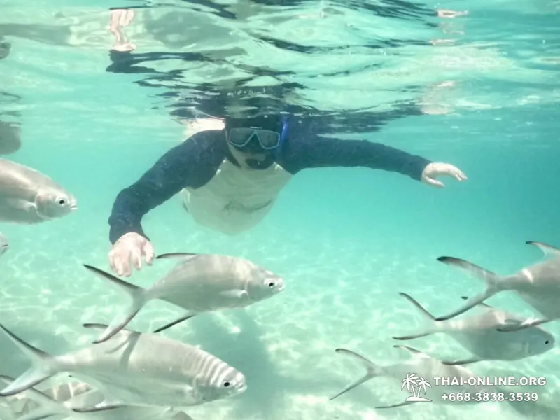 Marine Discovery one day sea trip from Pattaya Thailand - photo 11