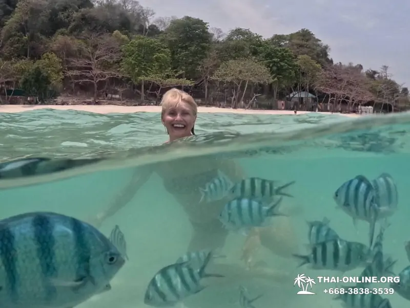 Marine Discovery one day sea trip from Pattaya Thailand - photo 18