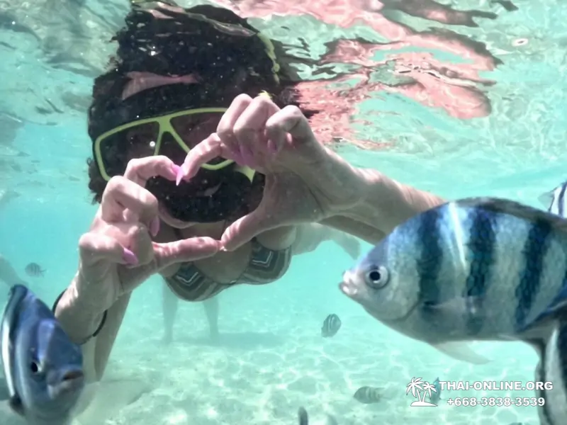 Marine Discovery one day sea trip from Pattaya Thailand - photo 15