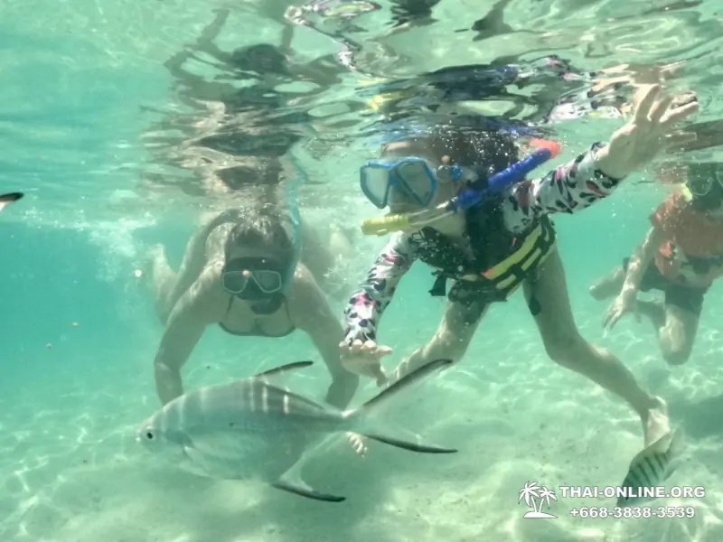 Marine Discovery one day sea trip from Pattaya Thailand - photo 13
