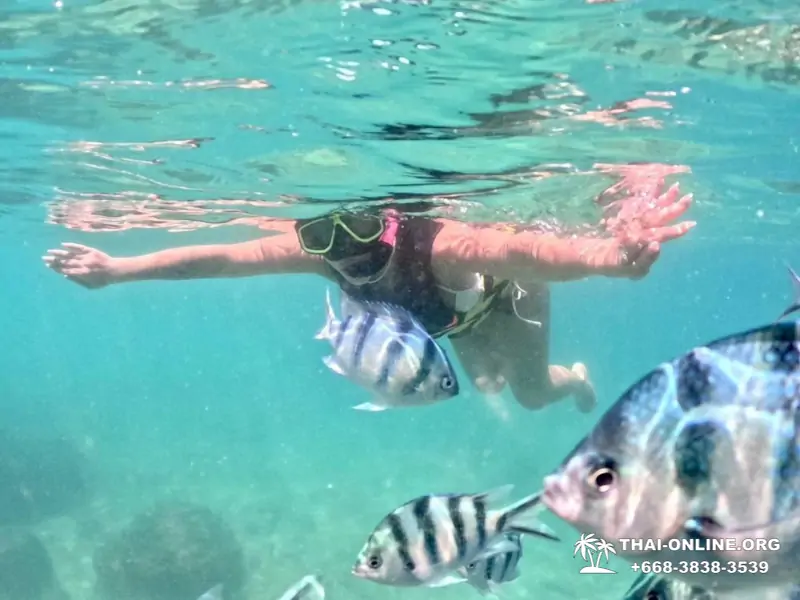 Marine Discovery one day sea trip from Pattaya Thailand - photo 10