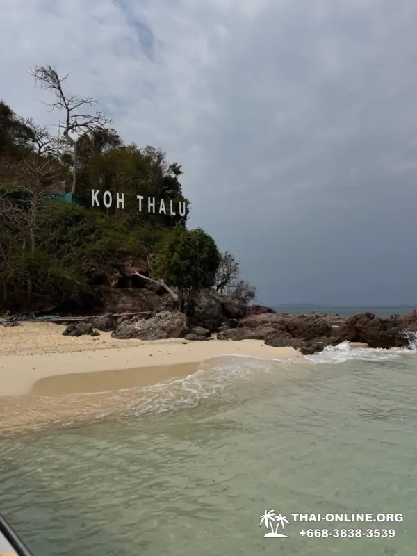Marine Discovery one day sea trip from Pattaya Thailand - photo 32