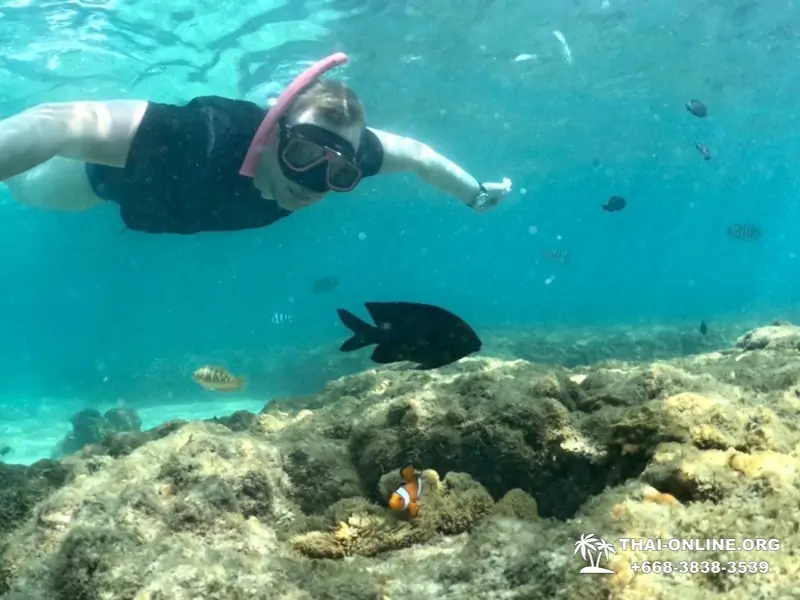 Marine Discovery one day sea trip from Pattaya Thailand - photo 3