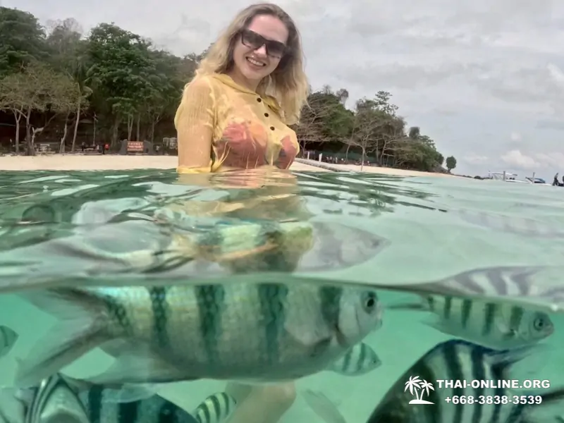 Marine Discovery one day sea trip from Pattaya Thailand - photo 22