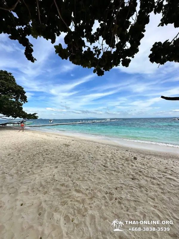Marine Discovery one day sea trip from Pattaya Thailand - photo 30