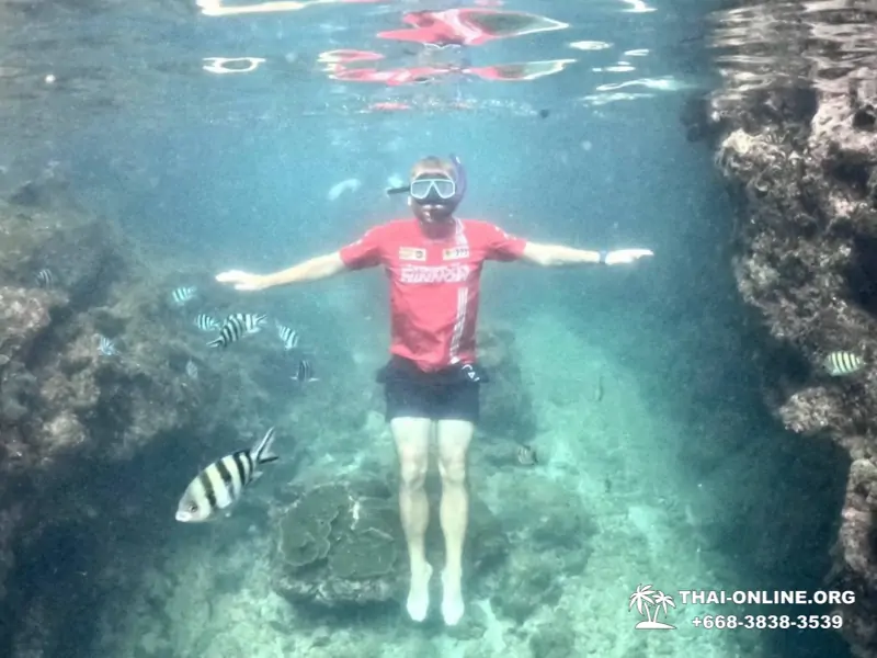 Marine Discovery one day sea trip from Pattaya Thailand - photo 17