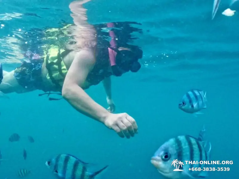 Marine Discovery one day sea trip from Pattaya Thailand - photo 1