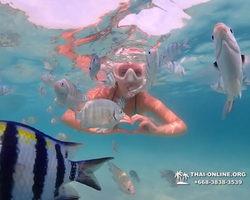 Underwater Odyssey snorkeling tour from Pattaya Thailand photo 89