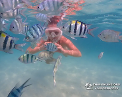 Underwater Odyssey snorkeling tour from Pattaya Thailand photo 80