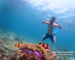 Underwater Odyssey snorkeling tour from Pattaya Thailand photo 86