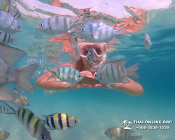 Underwater Odyssey snorkeling tour from Pattaya Thailand photo 63