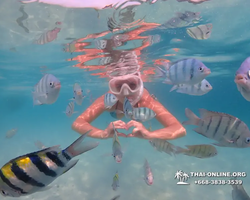 Underwater Odyssey snorkeling tour from Pattaya Thailand photo 74