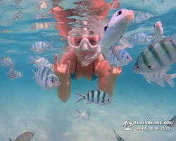 Underwater Odyssey snorkeling tour from Pattaya Thailand photo 87