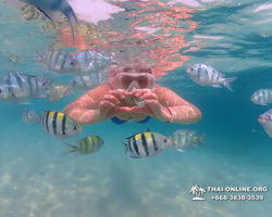 Pattaya snorkeling tour Underwater Odyssey in Thailand - photo 2