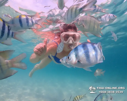 Underwater Odyssey snorkeling tour from Pattaya Thailand photo 1